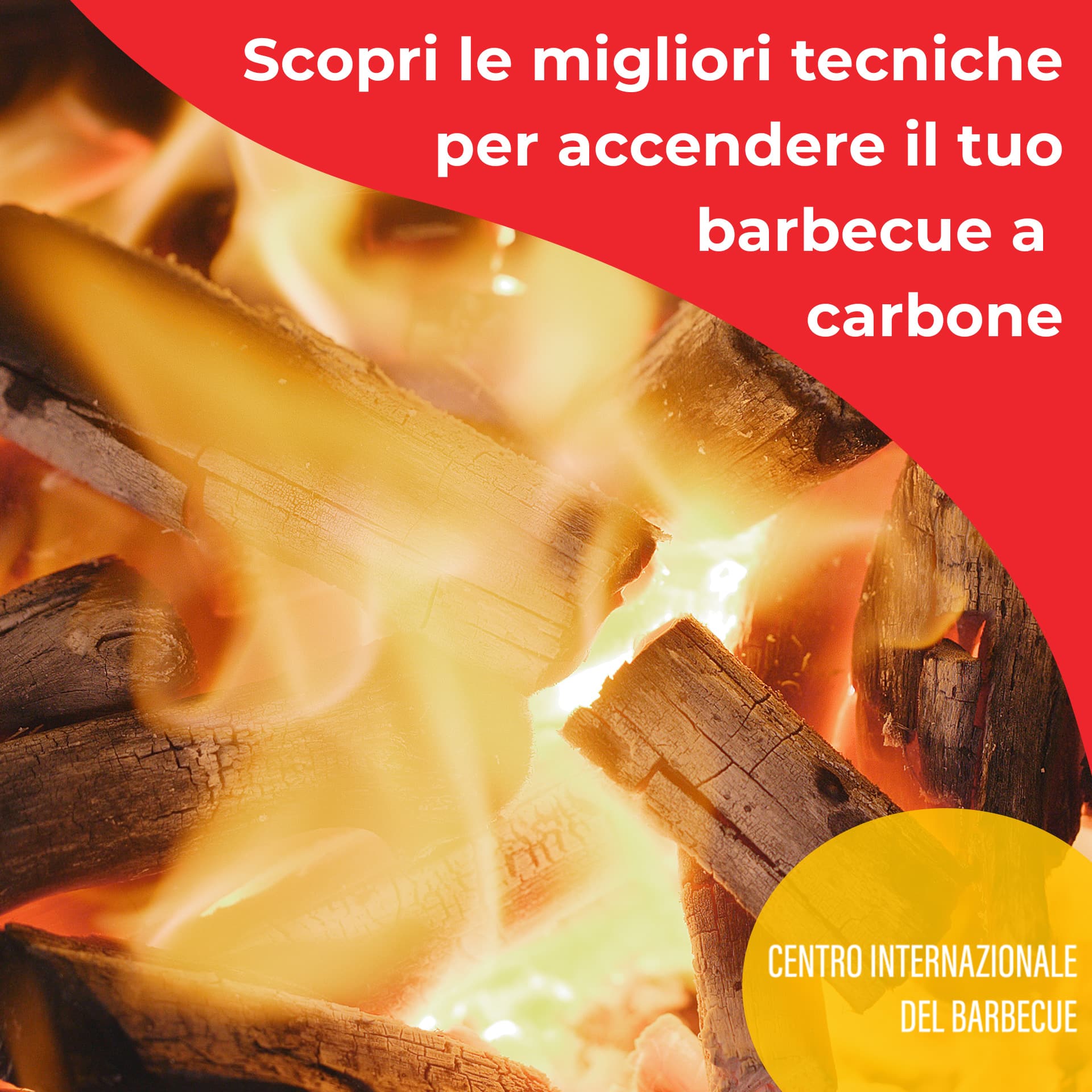 Le-migliori-tecniche-per-accendere-il-barbecue-a-carbone